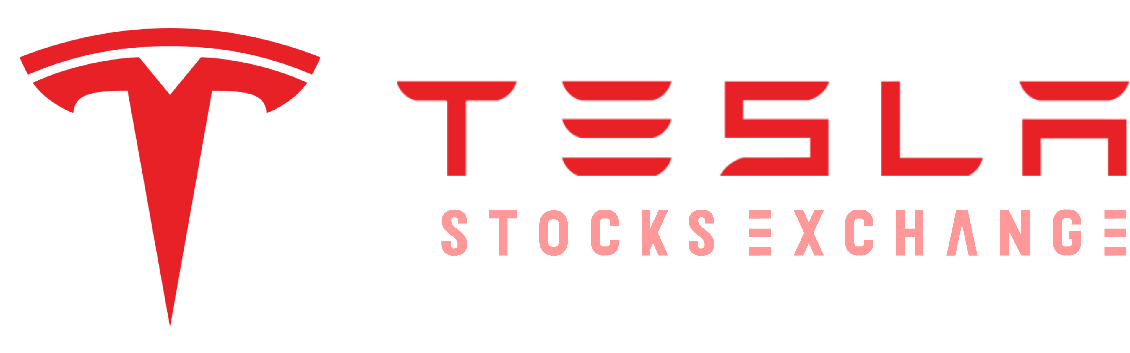 TeslaStocks.com